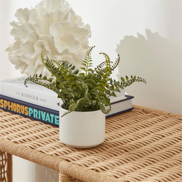 Adairs Amour Fern Green & White Potted Plant (Green Potted Plant)