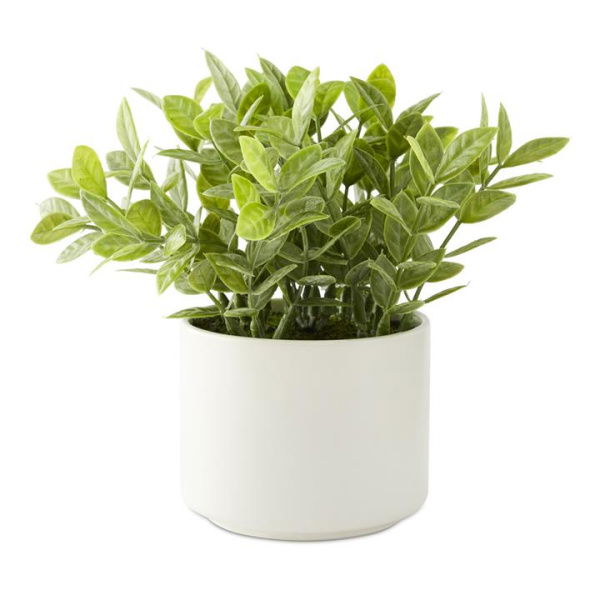 Adairs Amour Gardenia Green & White Potted Plant (Green Potted Plant)