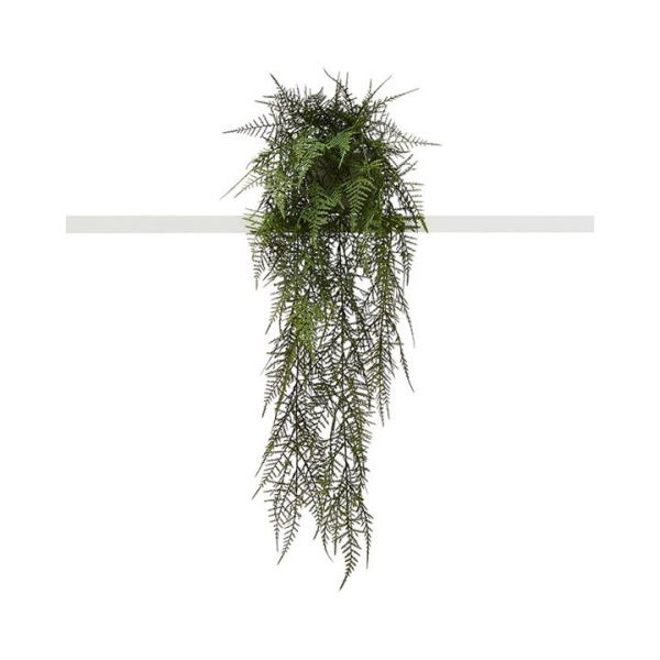 Adairs Green Hanging Plant Asparagus Fern