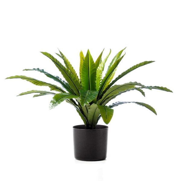 Adairs Green 55cm Bird Nest Fern Potted Plant Faux