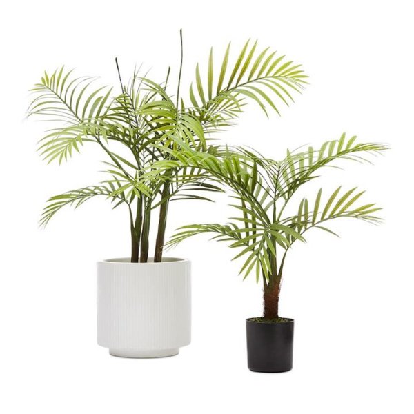 Adairs Green Bracken Potted Plants 50cm Small Plant