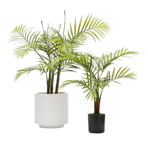 Adairs Green Bracken Potted Plants 61cm Medium Plant