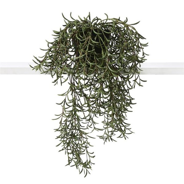 Adairs Canning Plant Spikey Hanging 40cm Green (Green Faux Plant)