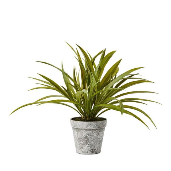 Adairs Green Faux Plant Evergreen Spider Plant