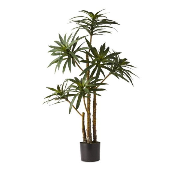 Adairs Green Faux Plant Evergreen Plant Yucca Green