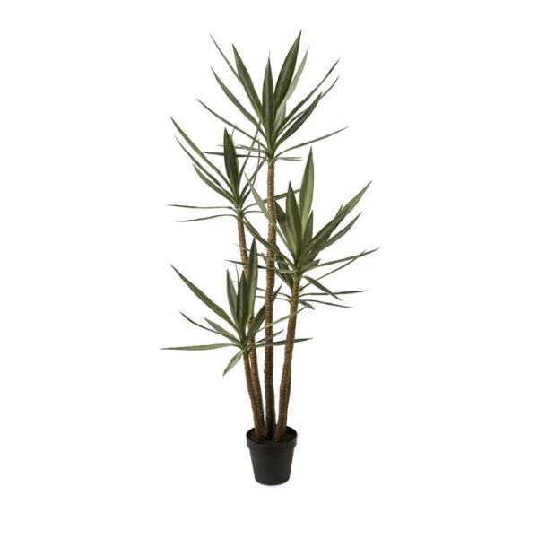 Adairs Green Heneken Potted Plant 183cm Faux