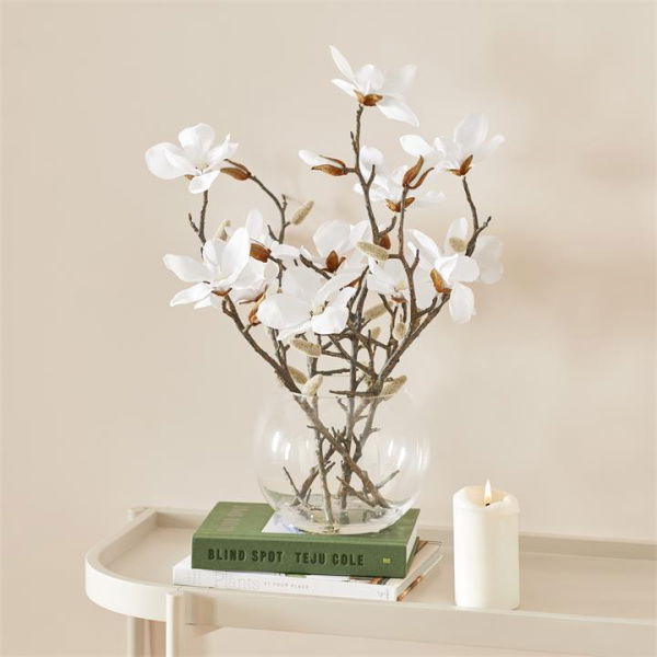 Adairs White Stem Magnolia In Vase