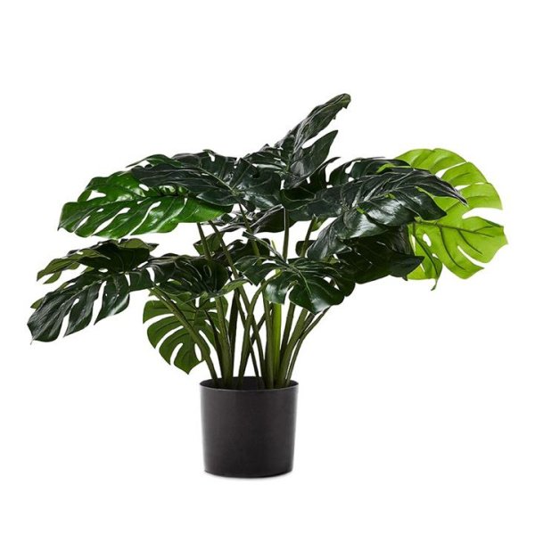 Adairs Green Faux Plant Monstera 2 Bunch Potted Plant 60cm Green