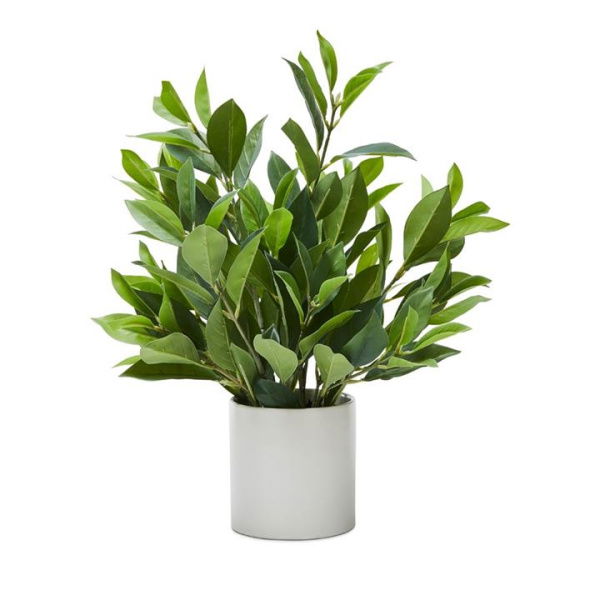 Adairs Green Faux Plant Olea Potted Green Gum Leaves