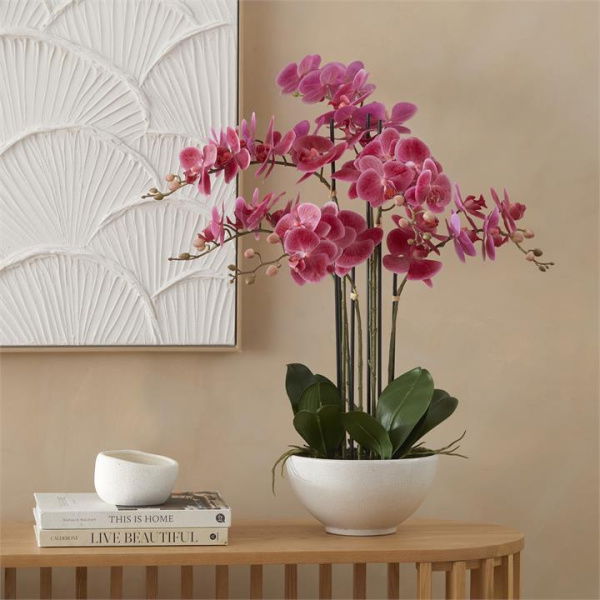 Adairs Phalaenopsis Wildberry 6 Stem Orchid - Pink (Pink Faux Plant)