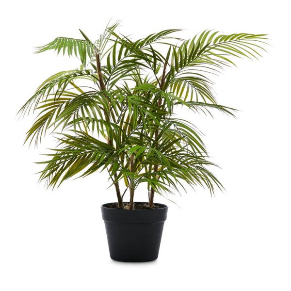 Adairs Green Faux Plant Potted Fern H72cm