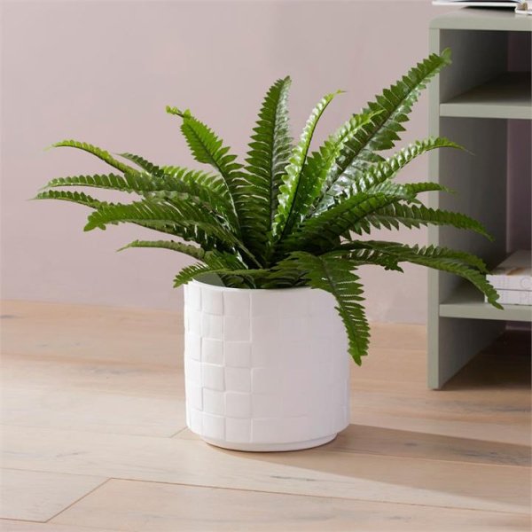 Adairs Potted Green Boston Fern (Green Faux Plant)