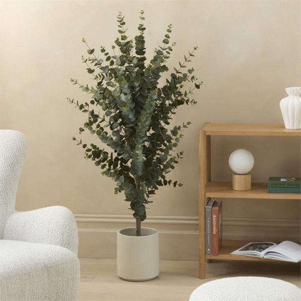 Adairs Potted Silver Green Eucalyptus 155cm (Green Faux Plant)