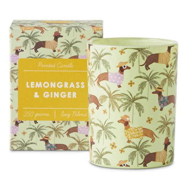 Adairs Green Candle Printed Lemongrass & Ginger Candle