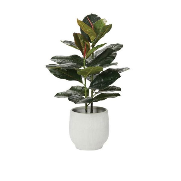 Adairs Green Rubber Fig Potted Plant 65cm Faux Plant