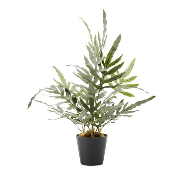 Adairs Green Faux Plant Silver & Green Potted Kangaroo Fern