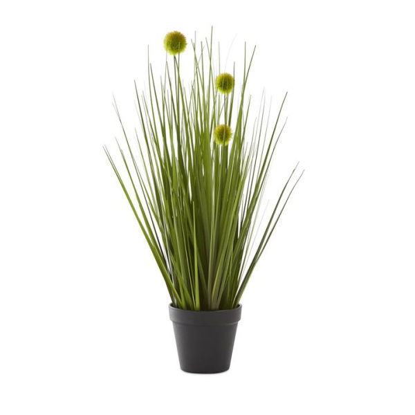 Adairs Green Faux Plant Summer Green Pom Pom Grass