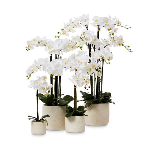 Adairs White Orchid Collection (White 1 Stem)