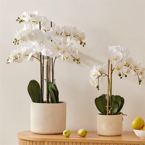 Adairs White Orchid Collection (White 3 Stem)