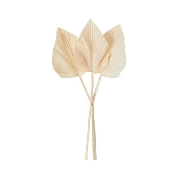 Adairs Winter Stem Fan Bunch H58cm Cream - White (White Stem)