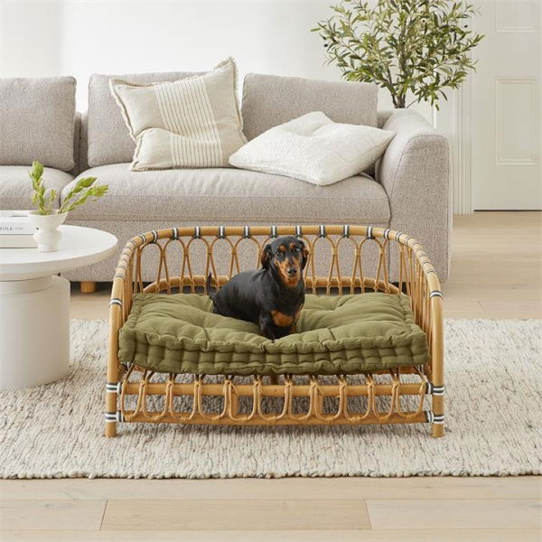 Adairs Green Cushion Fetch Oasis Forest Pet Bed Cushion