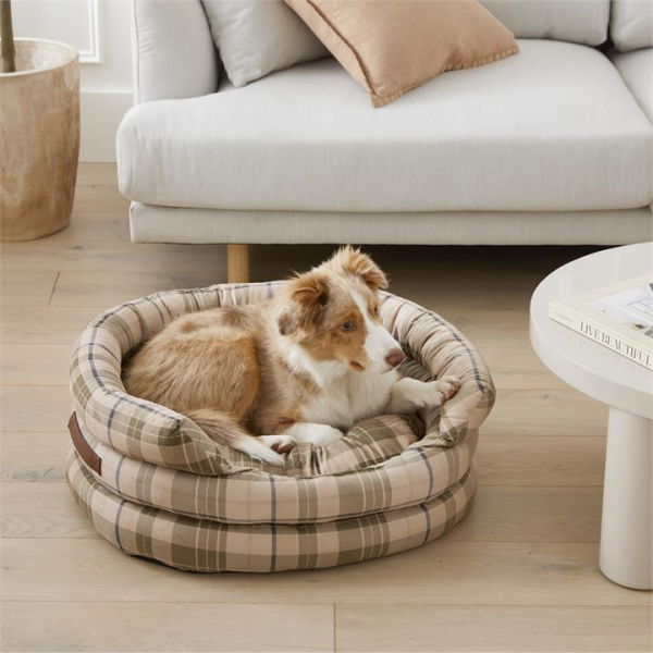 Fetch Natural Ziggy Biscuit & Forest Corduroy Large Pet Bed By Adairs