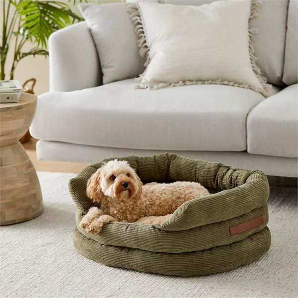 Fetch Green Ziggy Forest Corduroy Large Pet Bed By Adairs