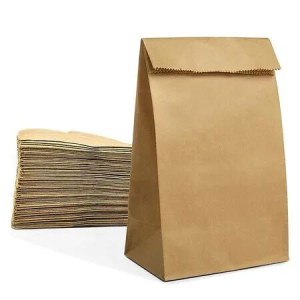 100 Pack Brown Paper Lunch Bags Kraft Paper Bags Lunch Snacks