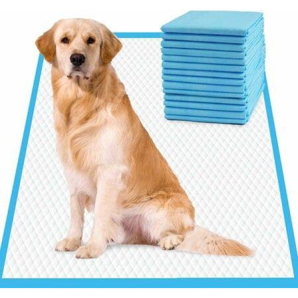 20 pack 60*90cm, Basics Dog and Puppy Pee Pads with Leak-Proof Quick-Dry Design for Potty Training, Standard Absorbency, Regular Size,Blue & White