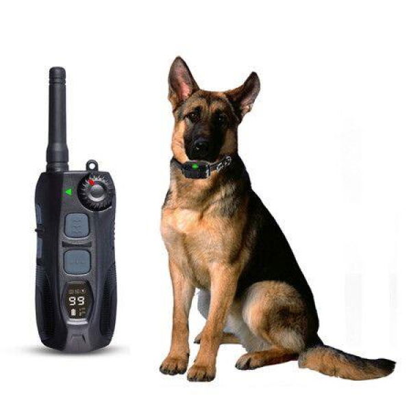 2000m Remote Training COLLAR Shock With Remote Shock Flashing Beacon Lights Waterproof Rechargeable Dog Hunting With 2 Collars