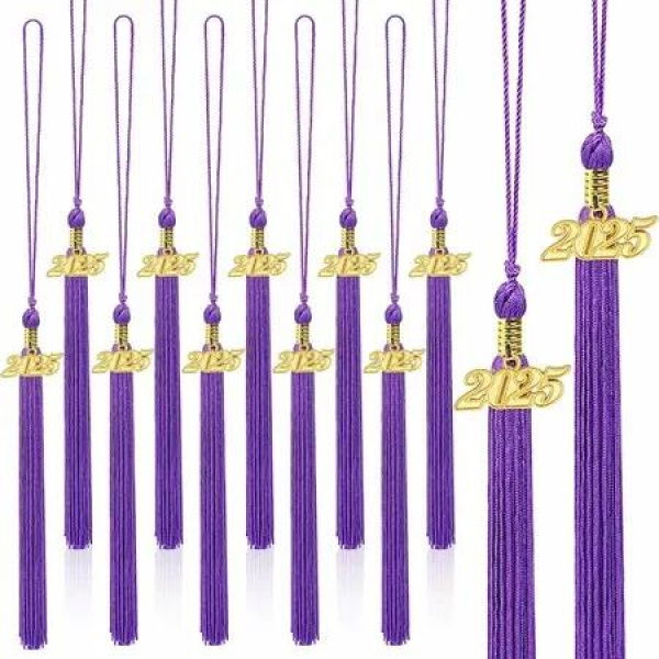 2025 Graduation Tassels,10Pcs Graduation Cap Tassels 2025 Grad Graduation Tassels for 2025 Graduation Ceremonies Accessories (Purple)