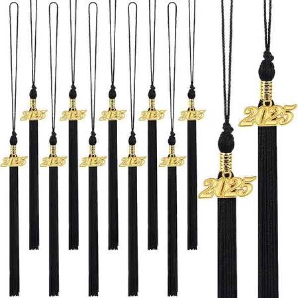 20Pcs Graduation Tassels Academic Graduation Cap Hat Tassel with 2025 Gold Charm for 2025 Graduation Ceremonies Accessories (Black)