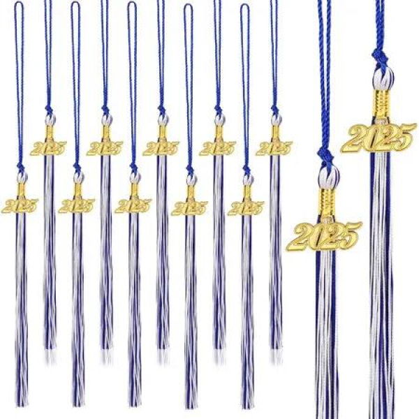 20Pcs Graduation Tassels Academic Graduation Cap Hat Tassel with 2025 Gold Charm for 2025 Graduation Ceremonies Accessories (Blue White)