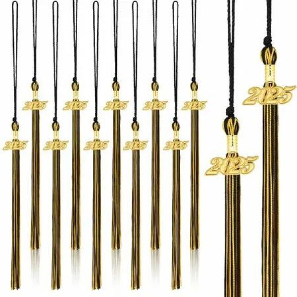 20Pcs Graduation Tassels Academic Graduation Cap Hat Tassel with 2025 Gold Charm for 2025 Graduation Ceremonies Accessories (Gold Black)