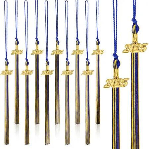 20Pcs Graduation Tassels Academic Graduation Cap Hat Tassel with 2025 Gold Charm for 2025 Graduation Ceremonies Accessories (Gold Blue)