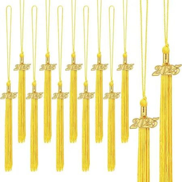 20Pcs Graduation Tassels Academic Graduation Cap Hat Tassel with 2025 Gold Charm for 2025 Graduation Ceremonies Accessories (Gold)