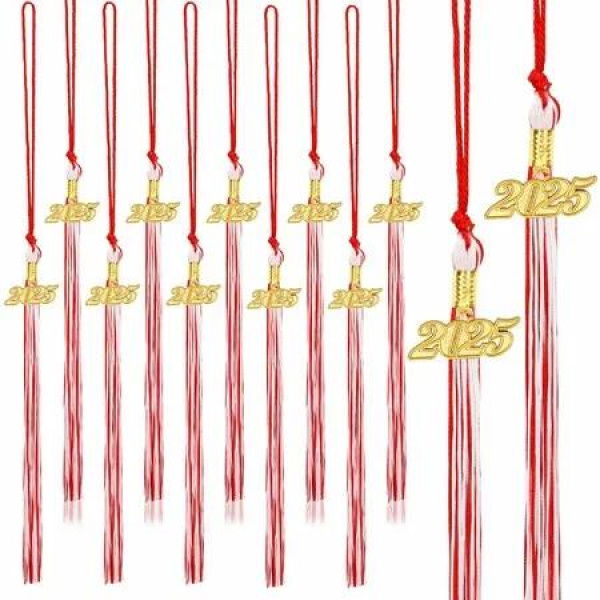 20Pcs Graduation Tassels Academic Graduation Cap Hat Tassel with 2025 Gold Charm for 2025 Graduation Ceremonies Accessories (Red White)