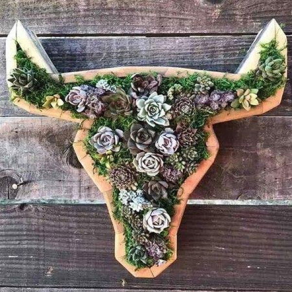 21 X 20 Cm Animal Head Plant Pot Succulent Holder Garden Arrangement Wooden Planter Boxes