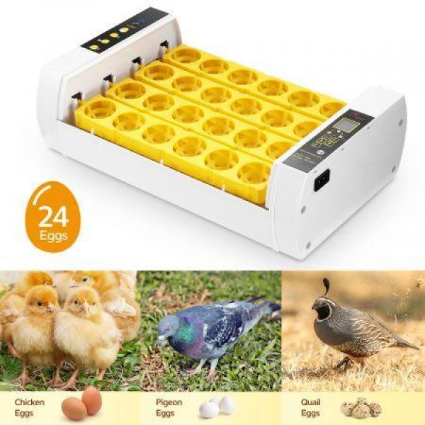 Please Correct Grammar And Spelling Without Comment Or Explanation: 24 Eggs Auto Incubator Incubator Digital Hatcher For Chicken Quail Duck Goose W/ Monitor LED Screen.