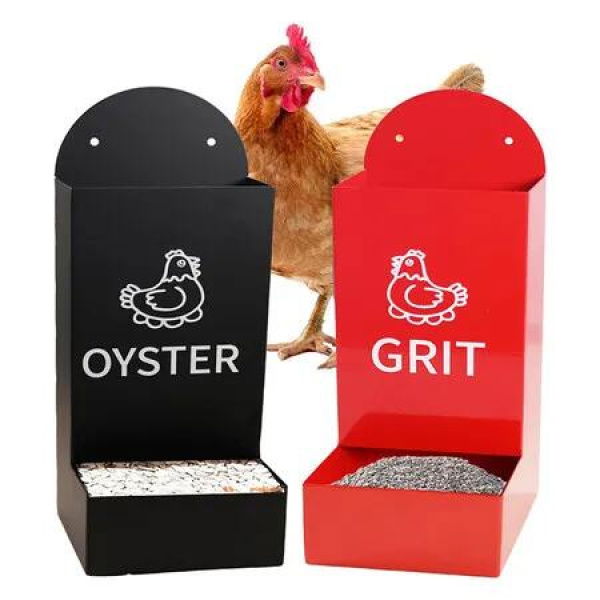 2PC Chicken Oyster Shell Feeder and Sand Feeder Metal Chicken Feeder Chicken Coop Accessories Automatic Chicken Feeder