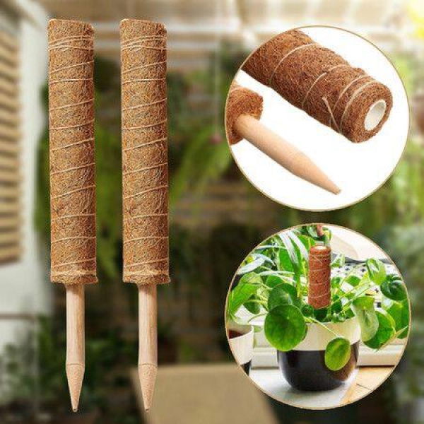 2x 30cm Plant Climbing Frame Climbing Column Set Coconut Silk Column Rod Pile Frame Bamboo Moss Rod Winding Palm Column