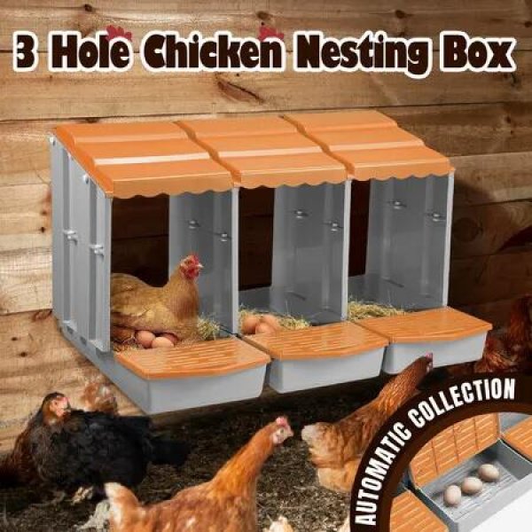 3 Hole Chicken Nesting Box Hen Chook Roll Away Modular Laying Boxes Poultry Perch Egg Coop Nest House Plastic