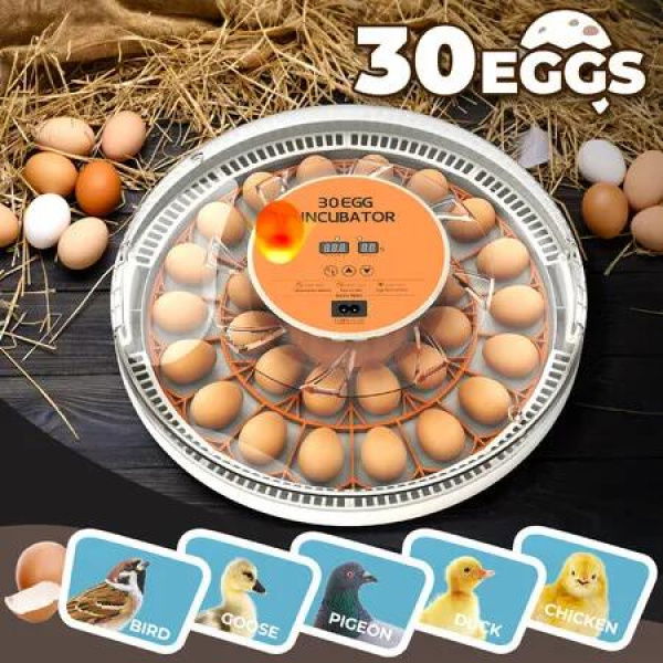 30 Egg Incubator Automatic Hatcher Hatching Hatchery Machine for Chicken Duck Quail Bird Goose Turkey with Auto Turner Humidity Control LED Candler