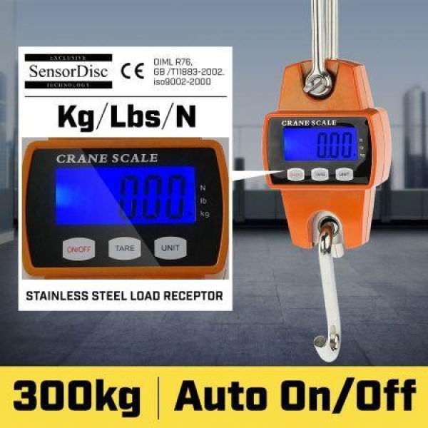 300Kg Industrial Electronic Crane Scale