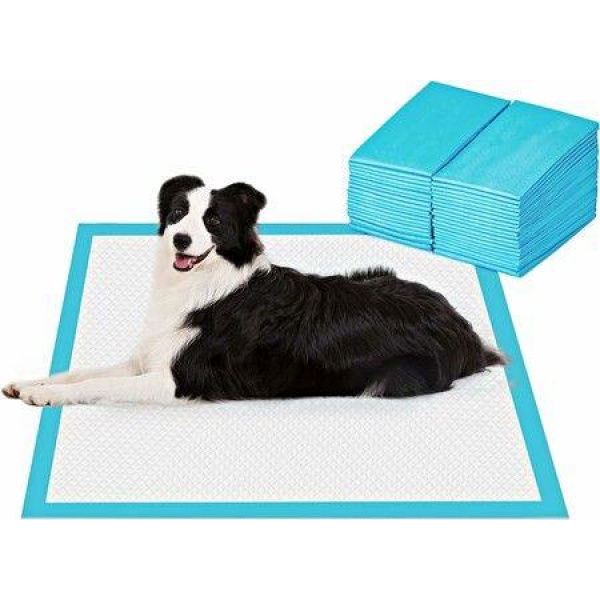 40 pack 60*60cm, Basics Dog and Puppy Pee Pads with Leak-Proof Quick-Dry Design for Potty Training, Standard Absorbency, Regular Size,Blue & White