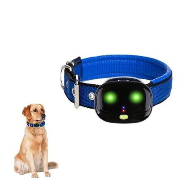 4G Pet Tracker, Rechargeable GPS Wireless Pet Fence, 3 Tracking Ways, 100m WiFi Positioning Accuracy, IP67 Waterproof for Medium Small Dogs, Black