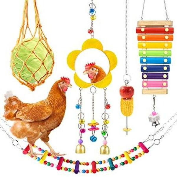 5 Packs Chicken Toys Chicken Xylophone Hens Chicken Mirror Toys Chicken Ladders Swing Toys And Vegetable Hanging Feeder Chicken Coop Accessories