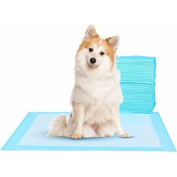 50 pack 45*60cm, Basics Dog and Puppy Pee Pads with Leak-Proof Quick-Dry Design for Potty Training, Standard Absorbency, Regular Size,Blue & White