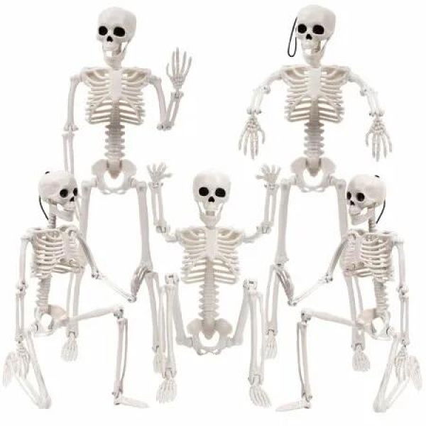 5pcs Halloween Skeleton Decoration,16In Full Body Posable Halloween Hanging Skeleton Decoration with Movable Joints