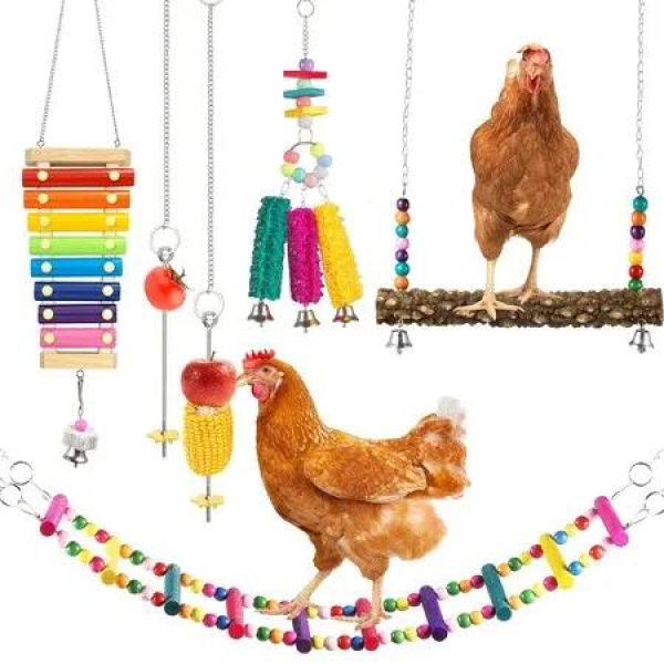 6-Pack Chicken Toy Variety Pack: Xylophone, Swing, Ladder, Pecking Toy, and Hanging Feeder for Chickens, Hens, Birds, and Parrots